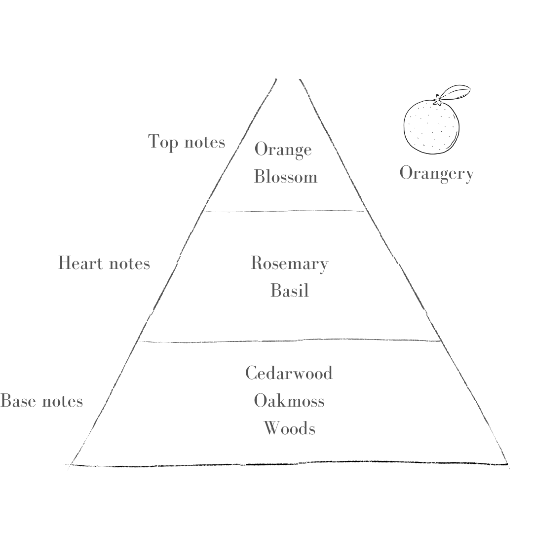 Pott – wholesale Jar/filled candle – Speckle Candle With Orangery2