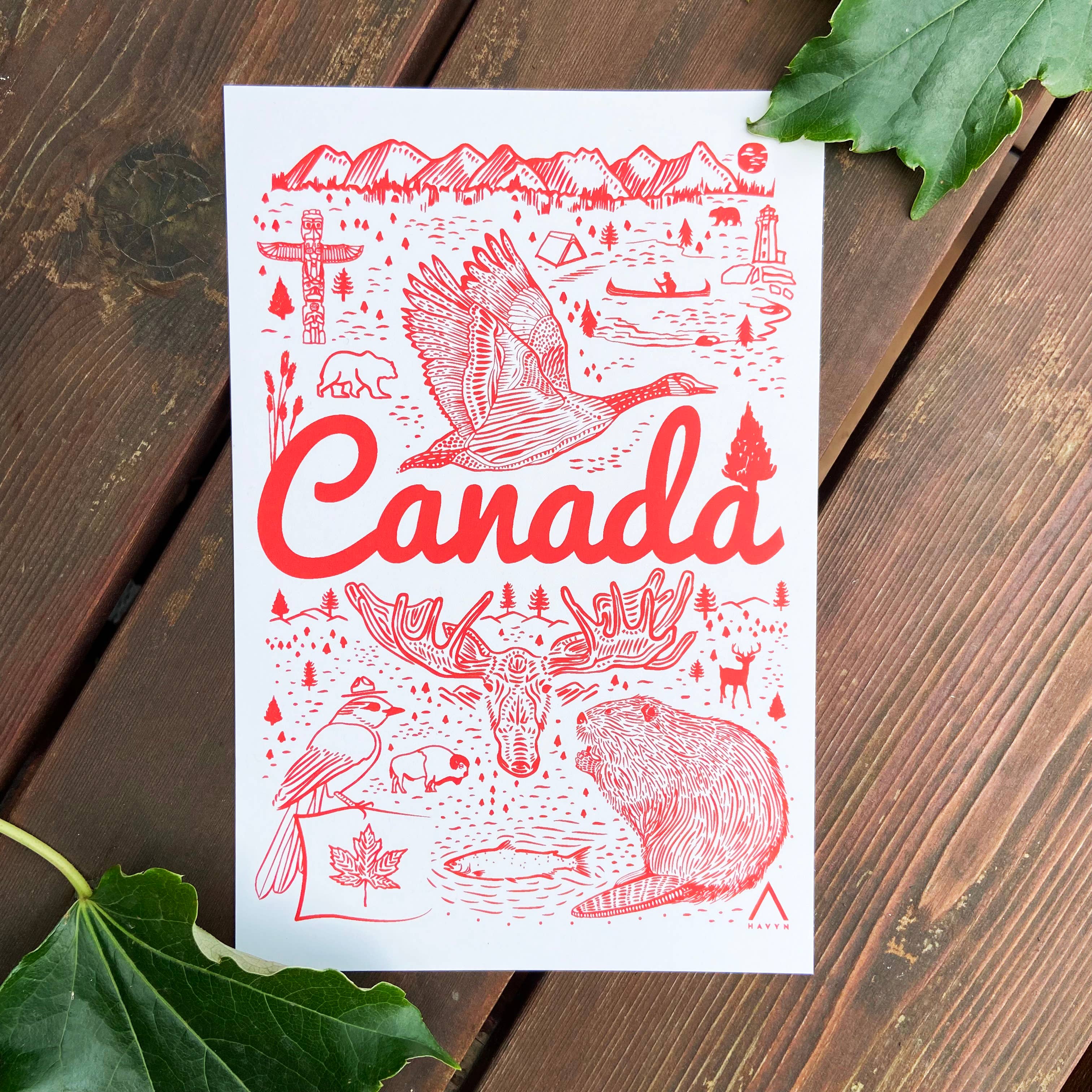 HAVYN - Vente Cartes postales - Carte postale Symboles du Canada 6x95