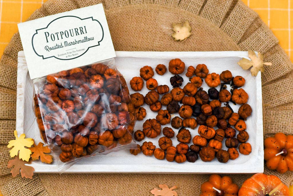 Oily Blends - Wholesale Potpourri - Fall Mini Pumpkin Potpourri Packs2