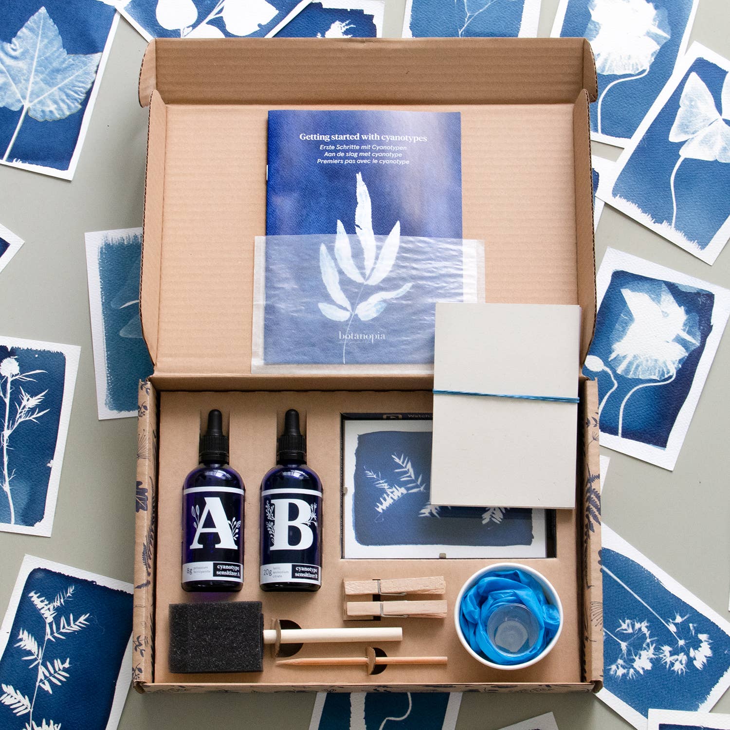 Botanopia - gifts , decor and cards for plant lovers - Vendita all'ingrosso Kit per lavoretti fai da te - Kit Cyanotype - Kit fai-da-te per creare le tue stampe blu2