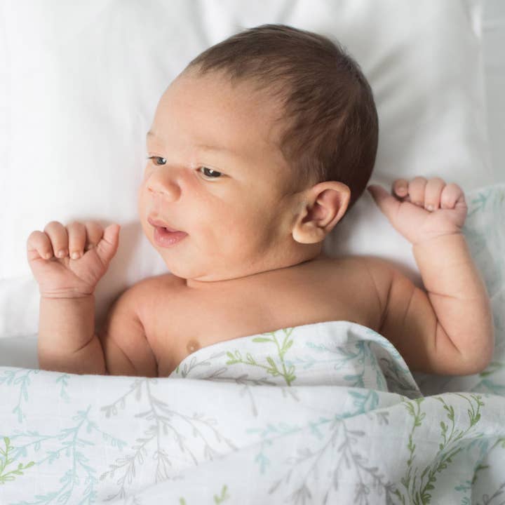 Organic Muslin Swaddle Blanket Springtime for wholesale by Summerville organic