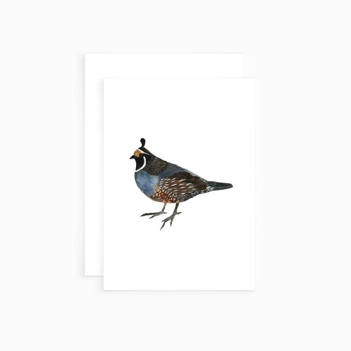 Quail - Bird Greeting Card- Notecard for wholesale by Teresa Sheeley Studios