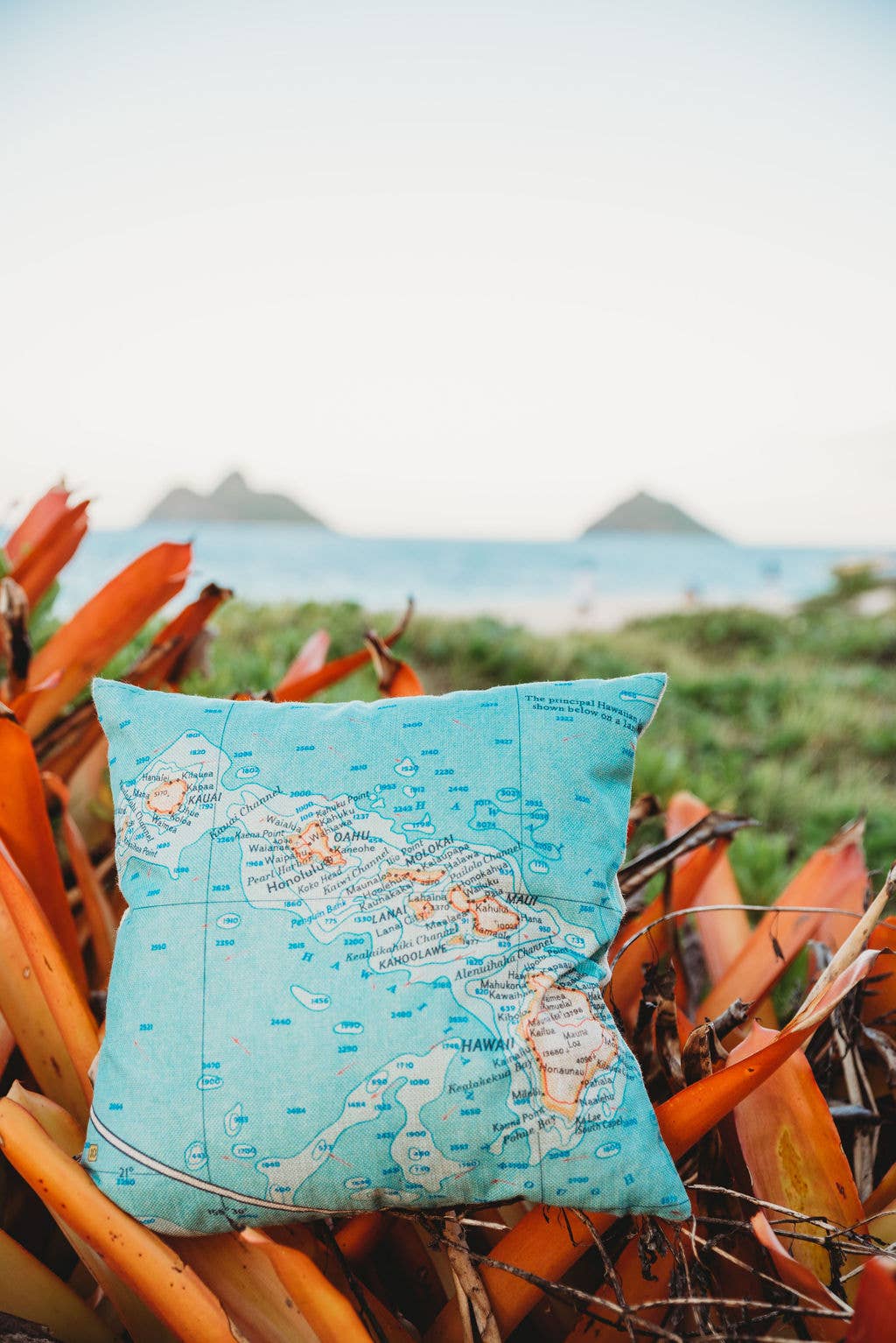 Daisy Mae Designs - Wholesale Throw/Decorative Pillow - Custom Map Pillow Decorative Throw Pillow Choose Any Town14