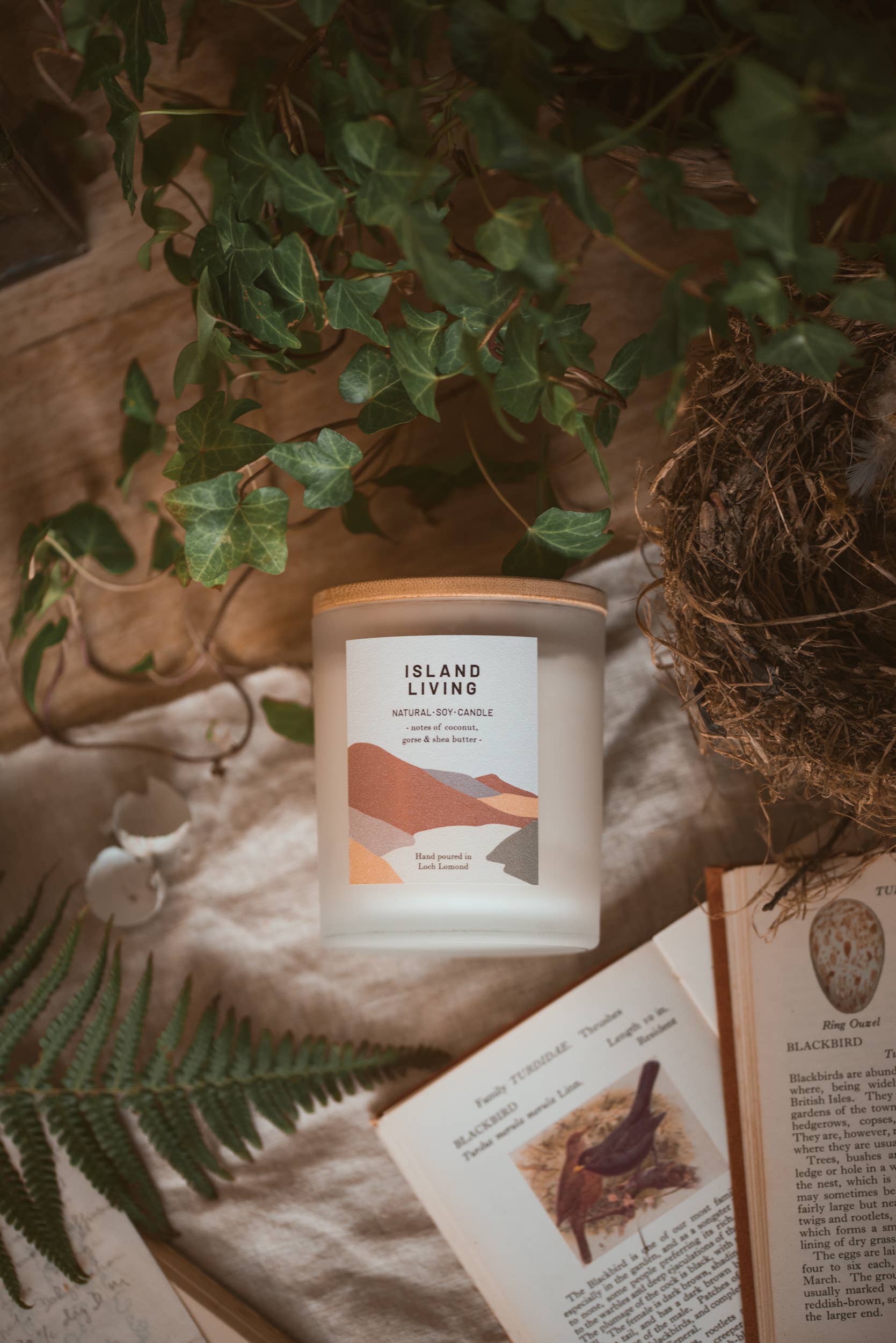 Ocoee House - Vendita all'ingrosso Candela in vasetto - Candela profumata biologica e vegana Island Living | Ocoee House6