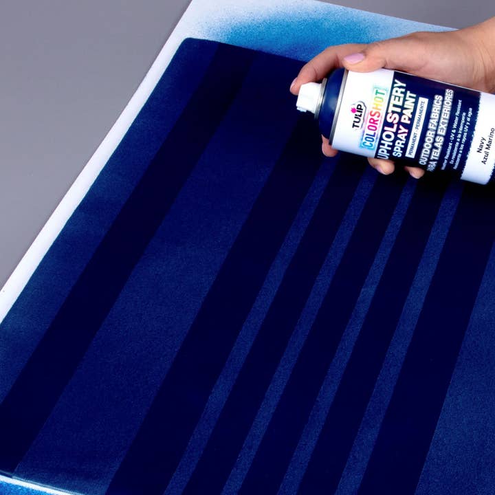 Tulip - Wholesale Paint Set - Tulip ColorShot Outdoor Navy