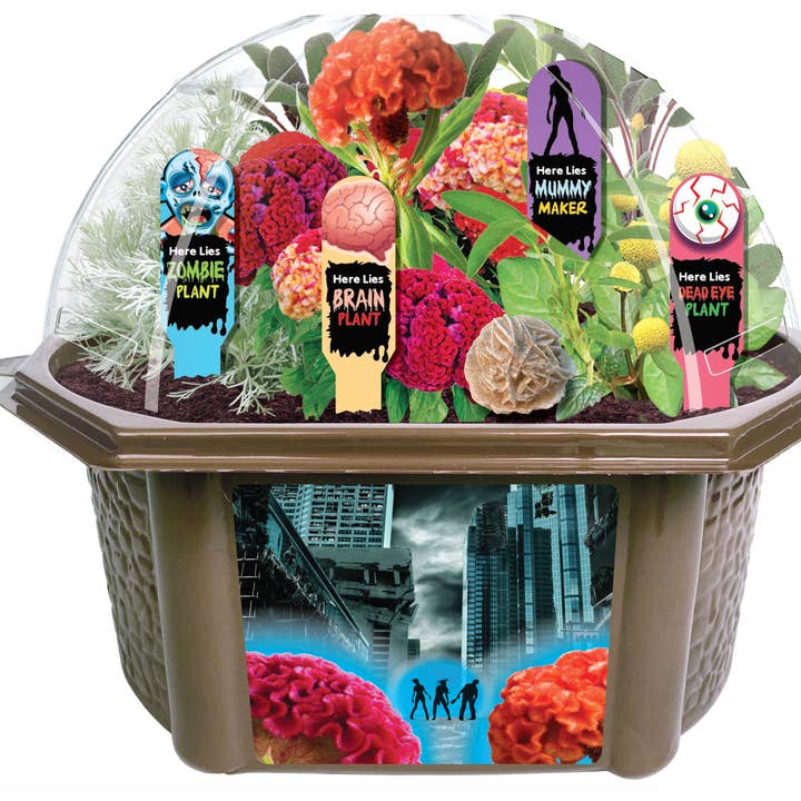 Silver Circle Products - Wholesale Plant Seeds - Zombie Apocalypse Biosphere2