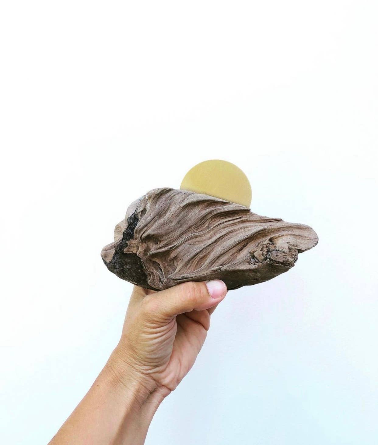 Vida + Luz - Wholesale Wall Accent - Mini Driftwood and Brass Wall Sculpture1