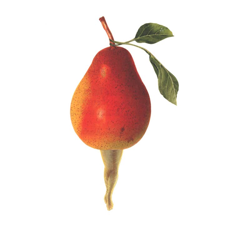 Orchard #2 (pear) print for wholesale by Nature Morph