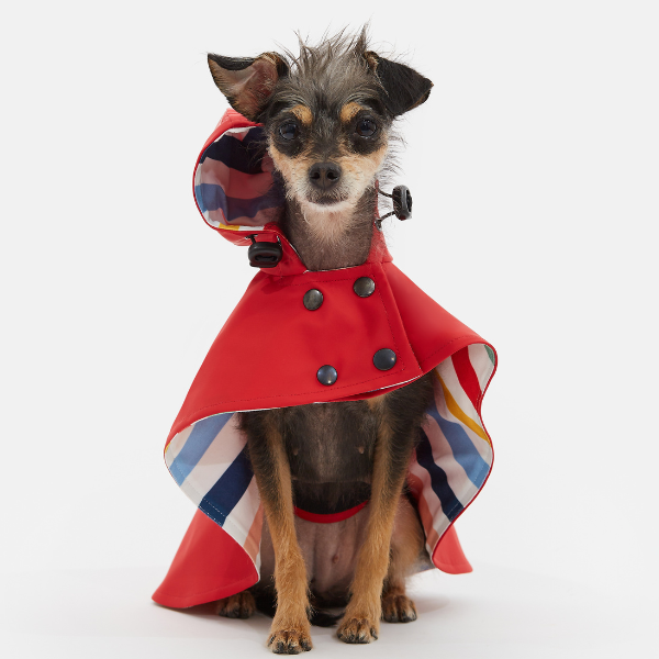 ARISTOPET - Wholesale Pet Raincoat - Dog - WILLIAM WATERPROOF JACKET2