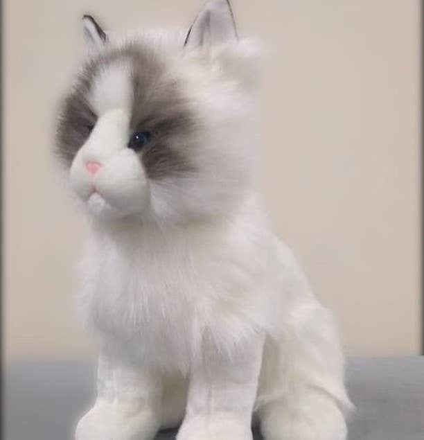 Wholesale Plush Cat- Ragdoll Kitten Plush Animal for your store