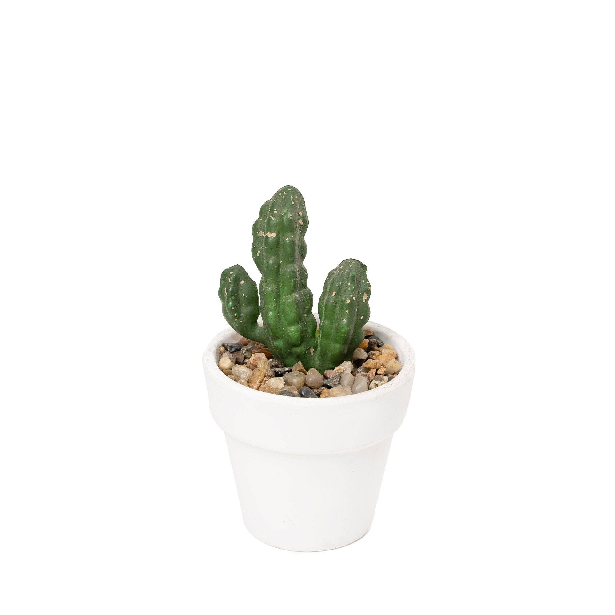 Portofino International Trading, USA - Wholesale Artificial Plant - Artificial Assorted Potted Cactus - Set of 125