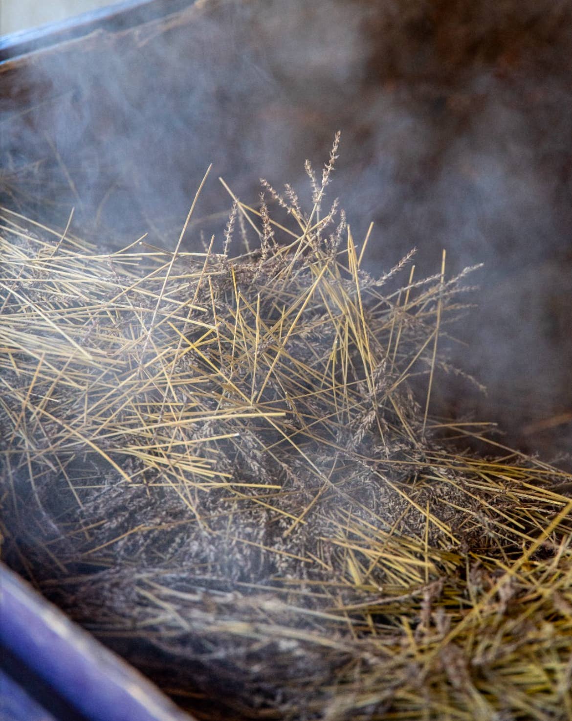 Lavender Beads - Wholesale Essential Oil - Lavender Essential Oil 30ml - For Aromatherapy Bracelets4