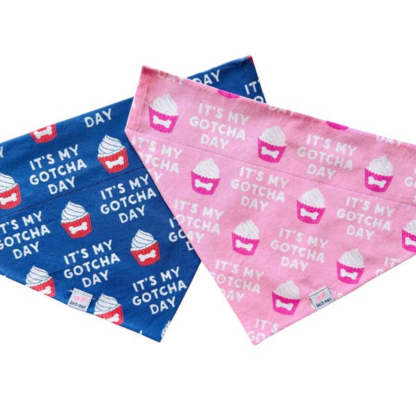 Bandana azul y rosa Gotcha Day para venta al por mayor de Fetch Mart