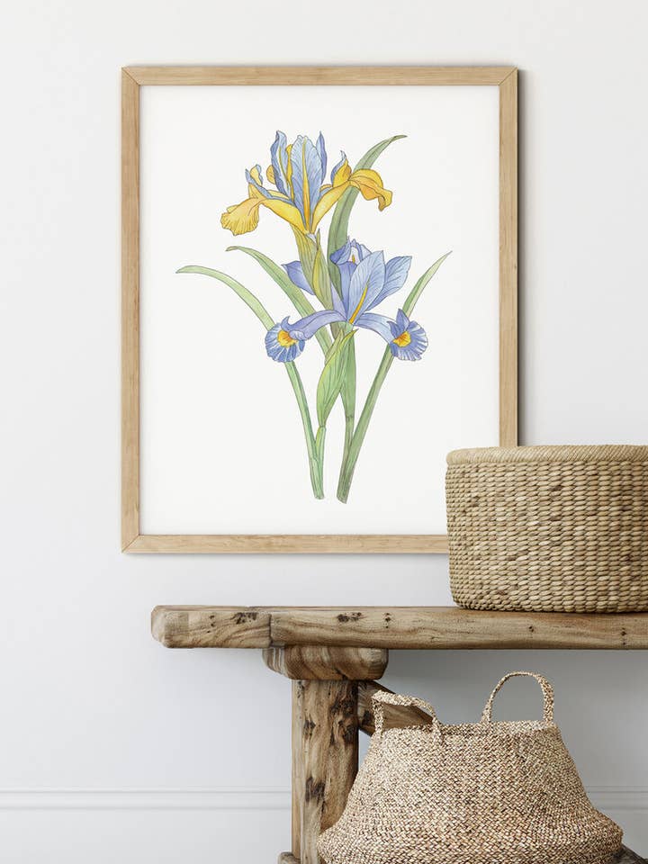 Spanska Iris för wholesale av Heather Victoria Design