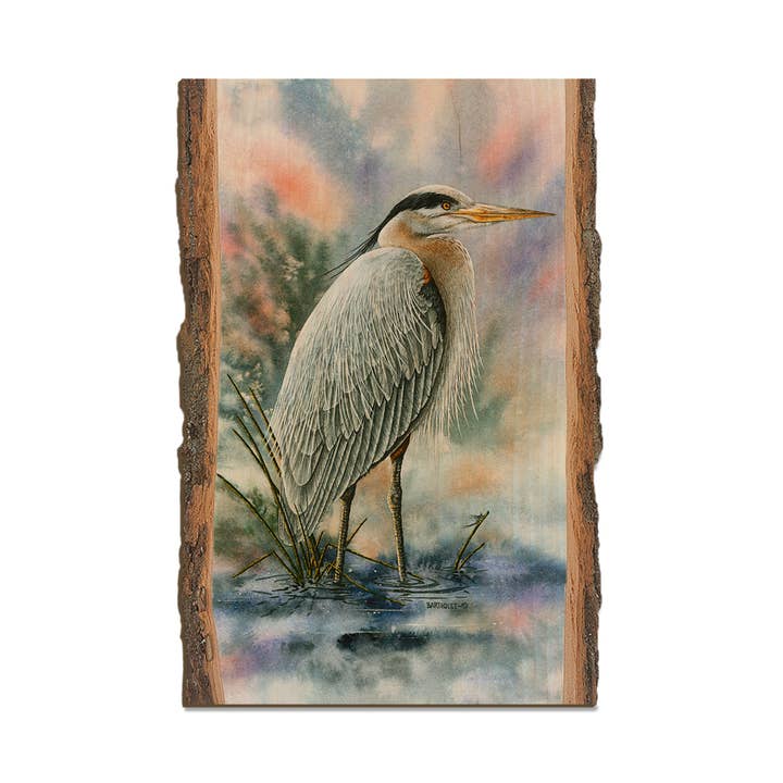 Bartholet's Marsh Master - Live Edge for wholesale by DaydreamHQ