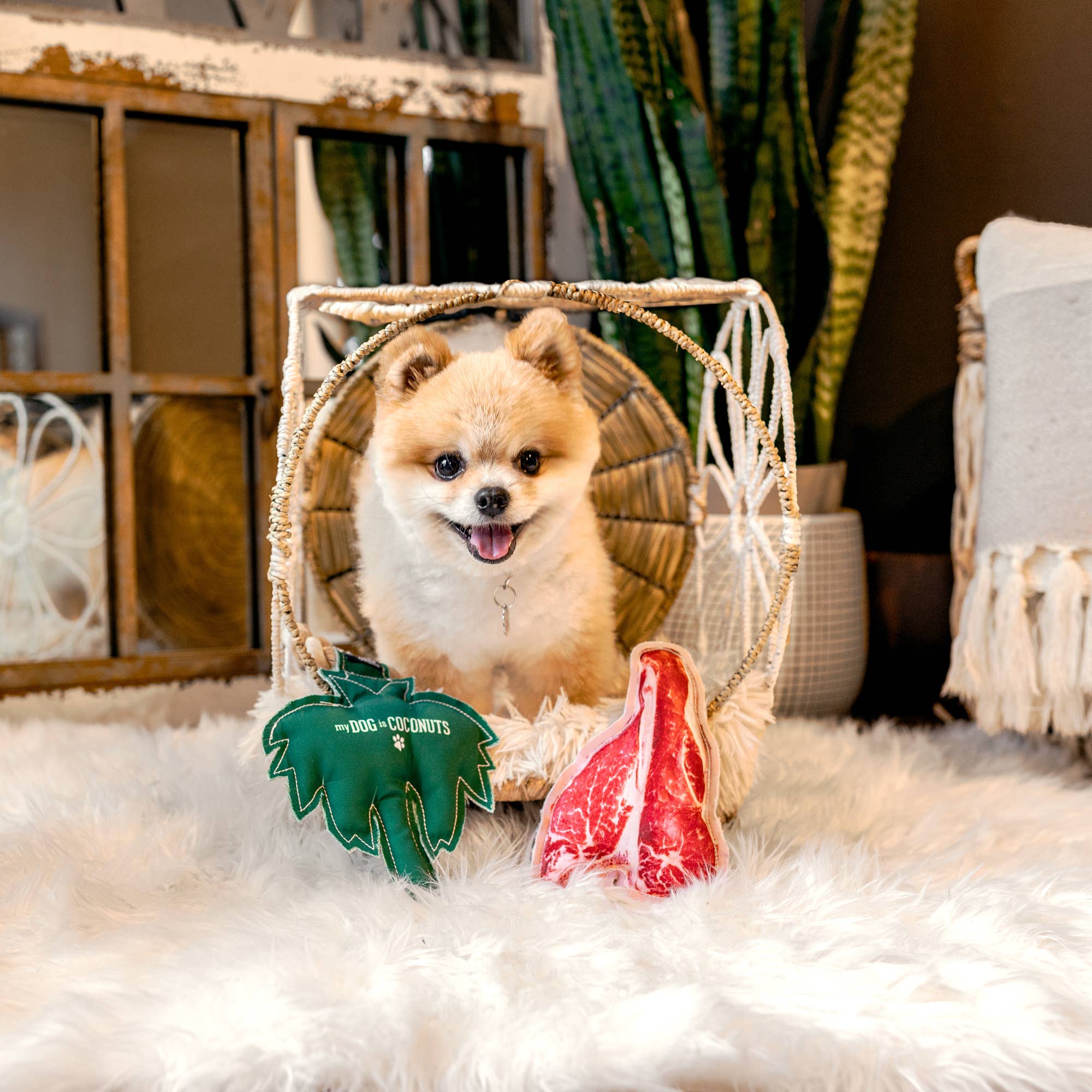 Pavilion – wholesale Pet chew toy – Dog – Steak - 7" Canvas Dog 2