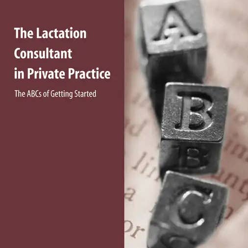 Books by splitShops - Wholesale Medical Health - The Lactation Consultant in Private Practice: The ABCs of Getting Started: The ABCs of Getting Started - Paperback