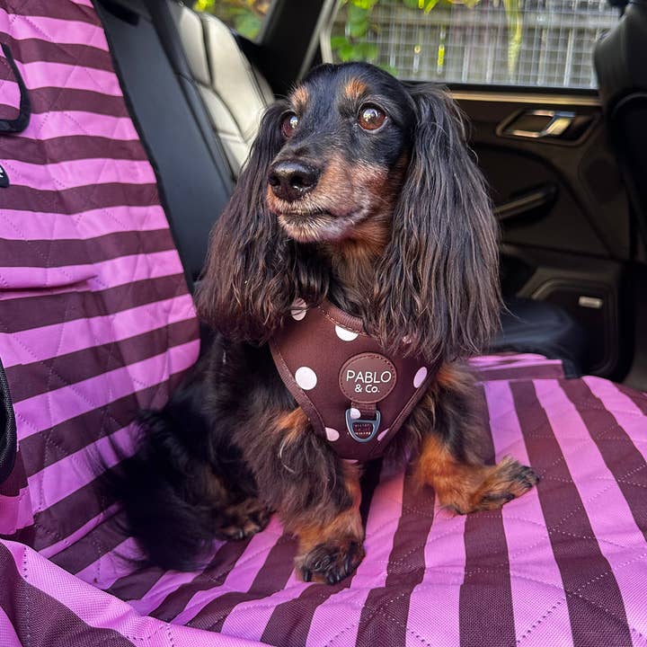 Blussende Striber: Deluxe Enkelt Bil Sædeovertræk for engroshandel hos Pablo & Co. Boutique