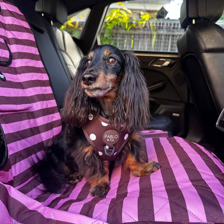 Blushing Stripes: Deluxe Single Car Seat Cover for wholesale by Pablo & Co. Boutique