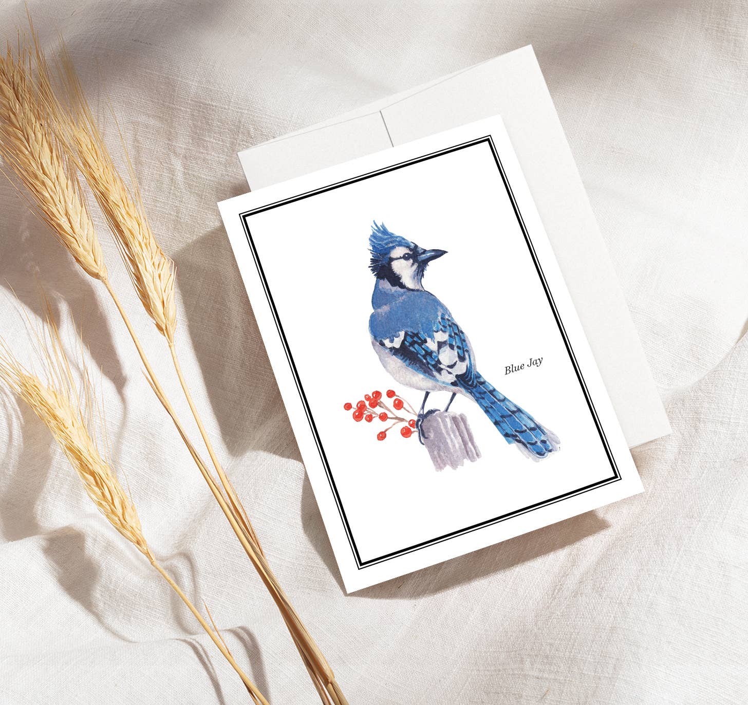Twigs Paper - Wholesale Stationery/Notecard Set - Birds Greeting Card Set | Assorted Notecards8