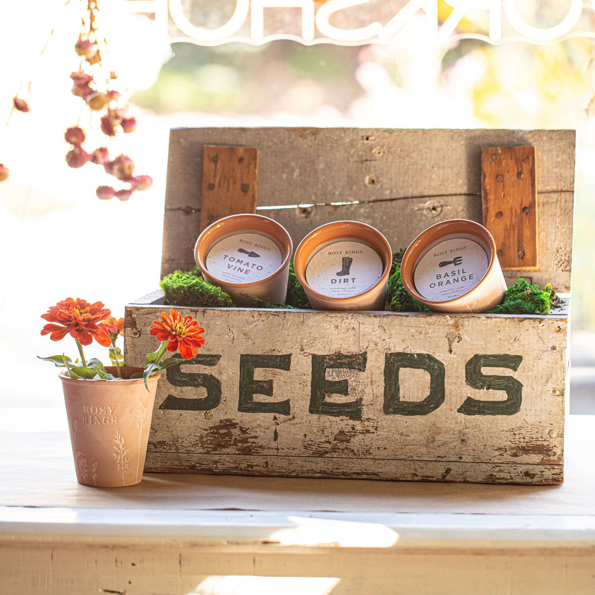 Rosy Rings - Wholesale Jar/Filled Candle - Basil Orange Garden Pot Candle + Plantable Seed Dust Cover1