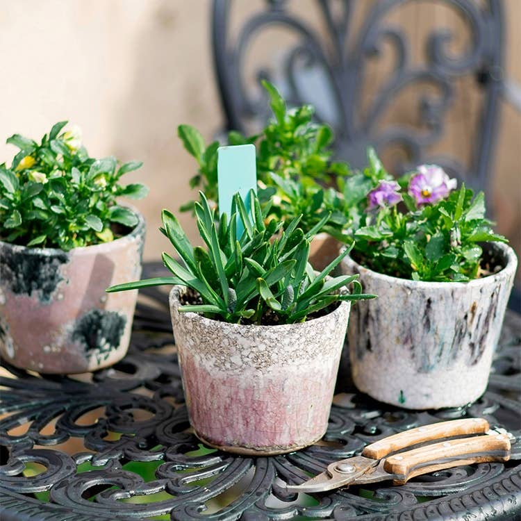 Rustic Reach - Wholesale Plant Pot - Colorful Terracotta Pot6