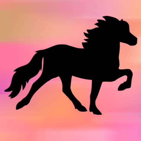 Icelandic Pony Vinyl Decal Sticker for wholesale by Bow-Dacious Designs