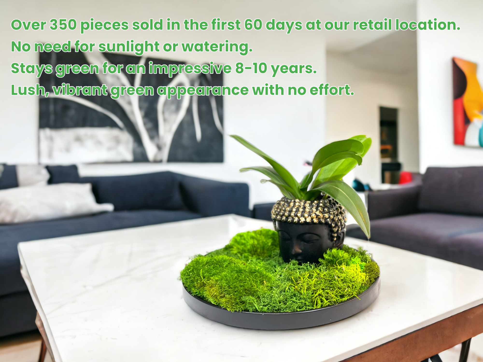 Planters Made in the USA - Wholesale Decorative Tabletop Object - Moss Table Centerpiece Decor Preserved Plant, Forever Green1