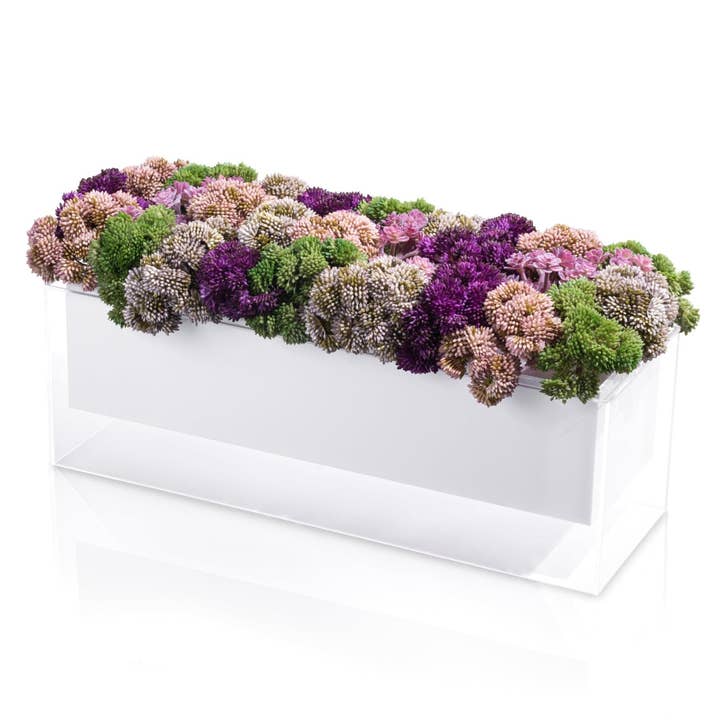 Purple Succulent Suspended Flower Arrangement for wholesale by Waterdale Collection
