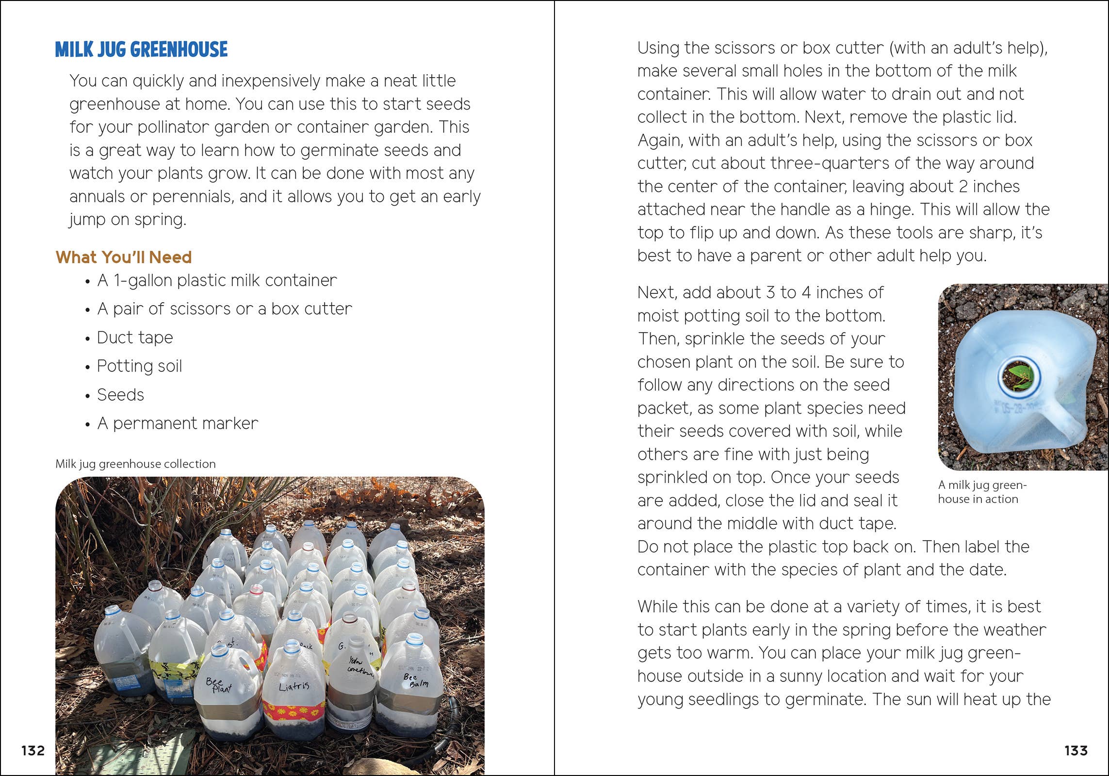 AdventureKEEN - Vente Nature et plein air - Pollinisateurs et plantes indigènes pour les enfants13