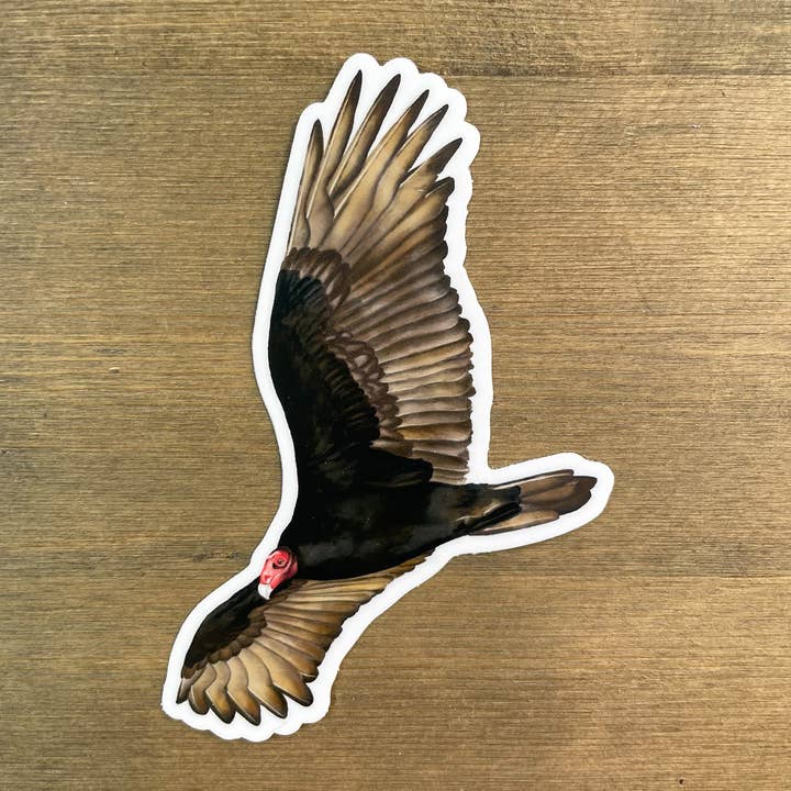 Pavo altísimo buitre #2 para venta al por mayor de Amy Rose Moore Illustration