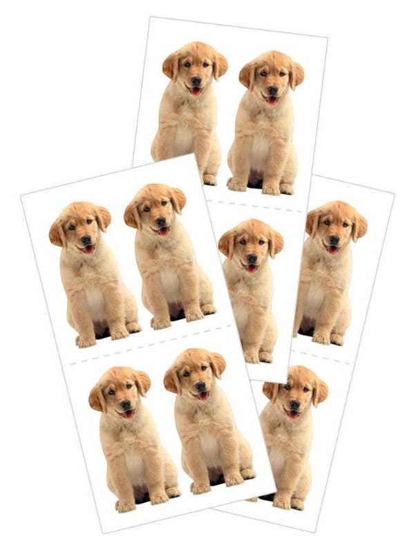 Autocollants Chiots Golden Retriever pour la vente par Paper House Productions