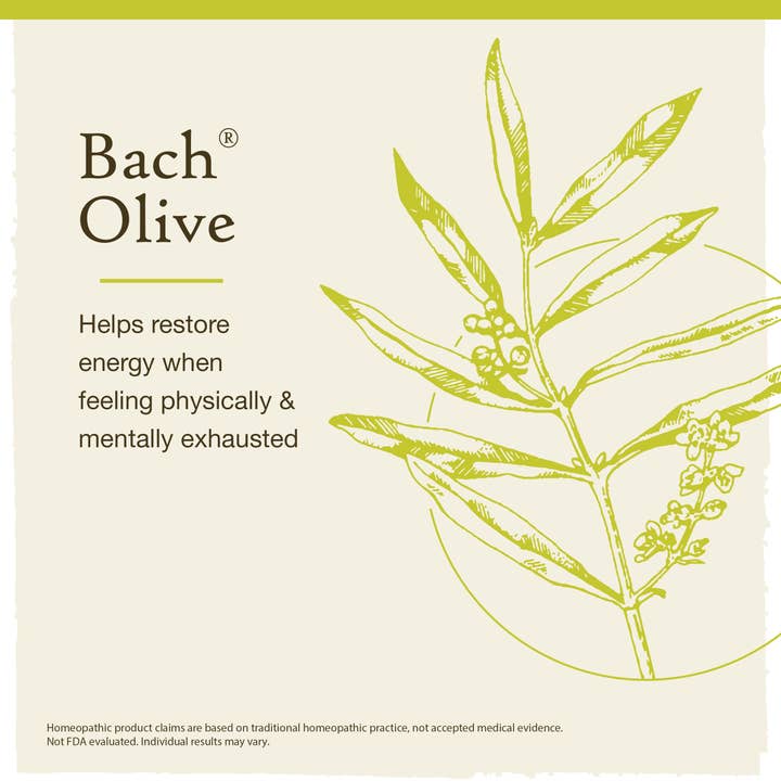 RESCUE & Bach Original Flower Remedies - Wholesale Oral Supplement/Vitamin - Bach Original Flower Remedies Olive 0.7 fl. oz. (20mL)