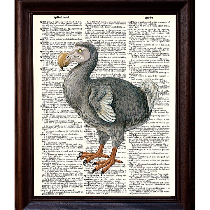 Fresh Prints of CT - Wholesale Art Print - Dodo Bird Dictionary Print1