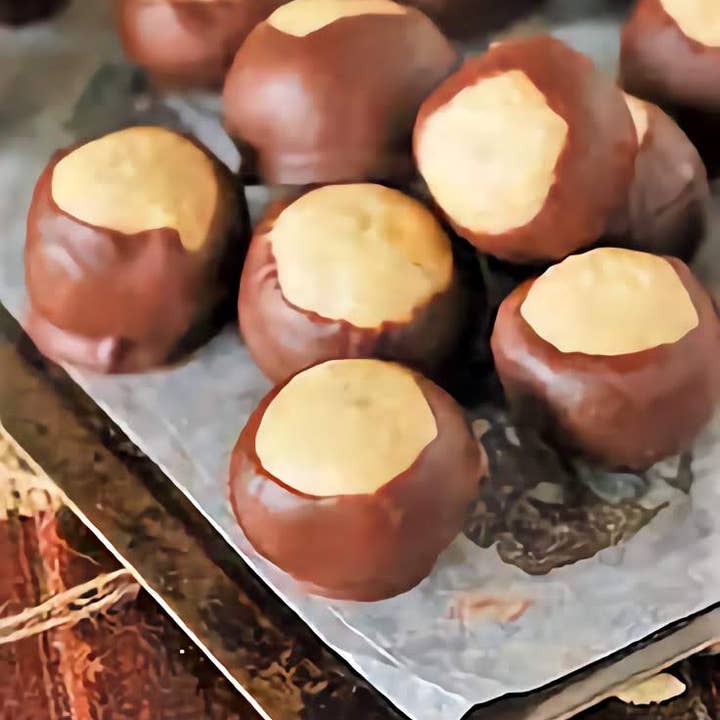 Bear Creek Candy Kitchen – wholesale Chocolate-covered sweets – Over sized Chocolate Buckeyes Milk Chocolate Box of 121