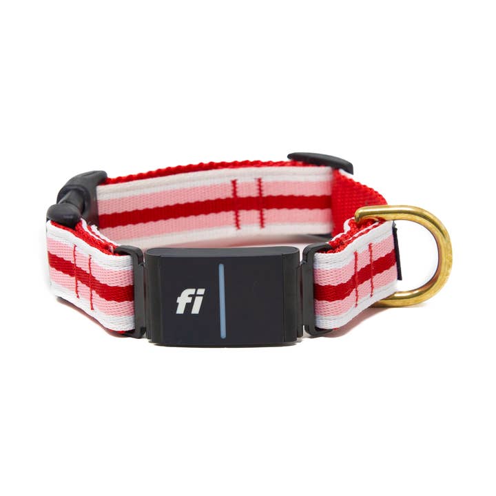Fi Collar Band - Cherry Sundae for wholesale by LUCKY + DOG