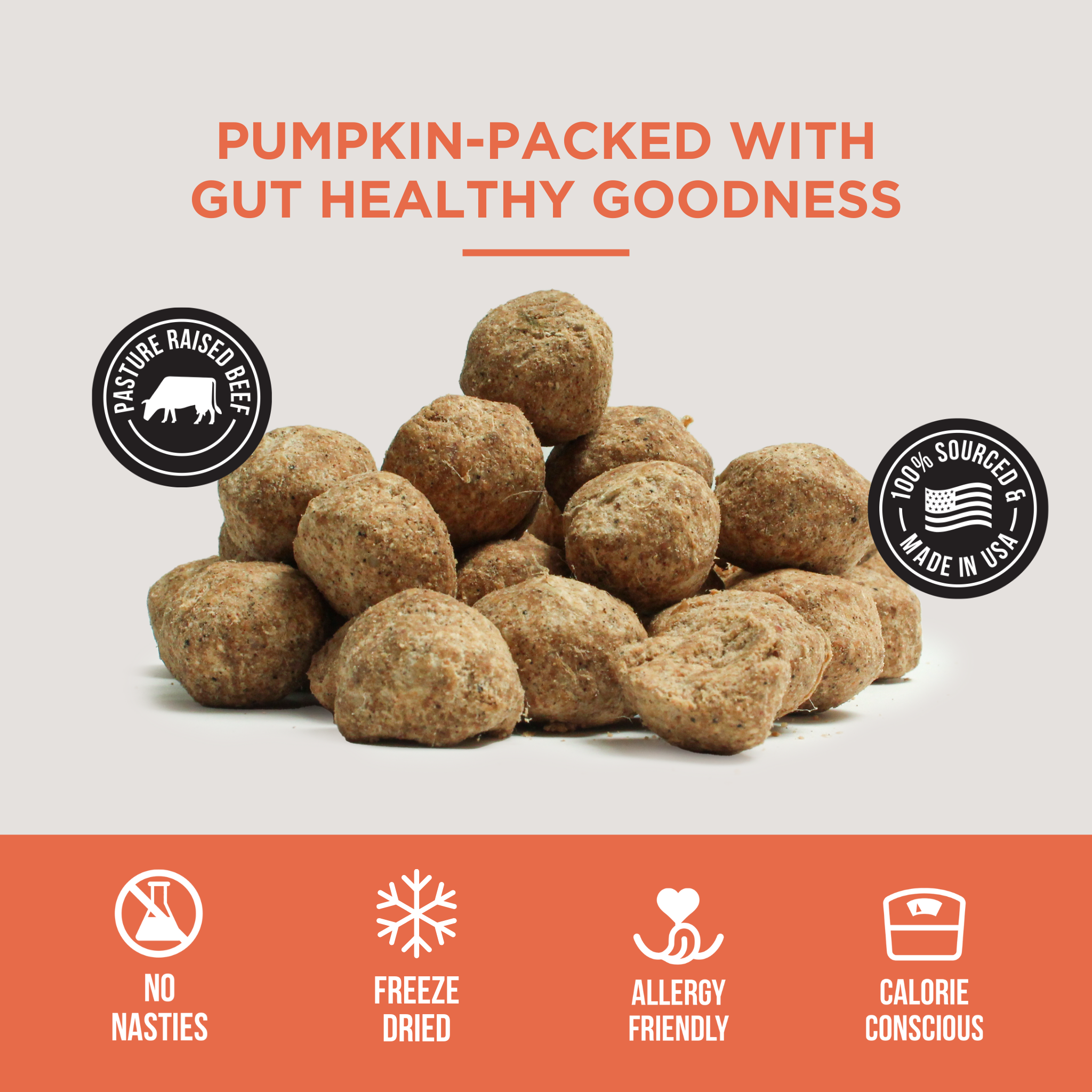 Natural Rapport - Wholesale Pet Treats - Dog - The Only Freeze Dried Pumpkin Meatballs Dogs Need3