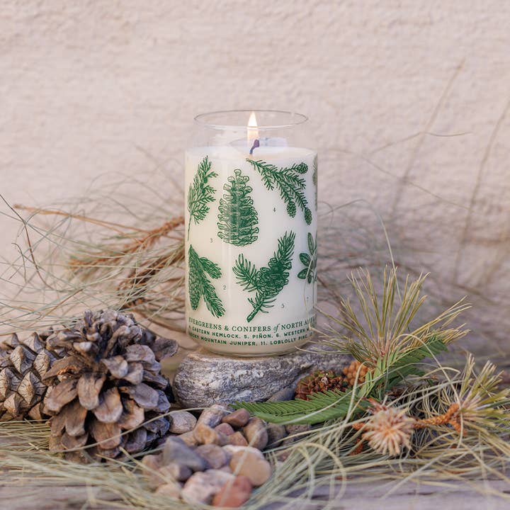 Good & Well Supply Co. - Wholesale Jar/Filled Candle - Evergreens & Conifers Soy Candle - Forest Floor Collection