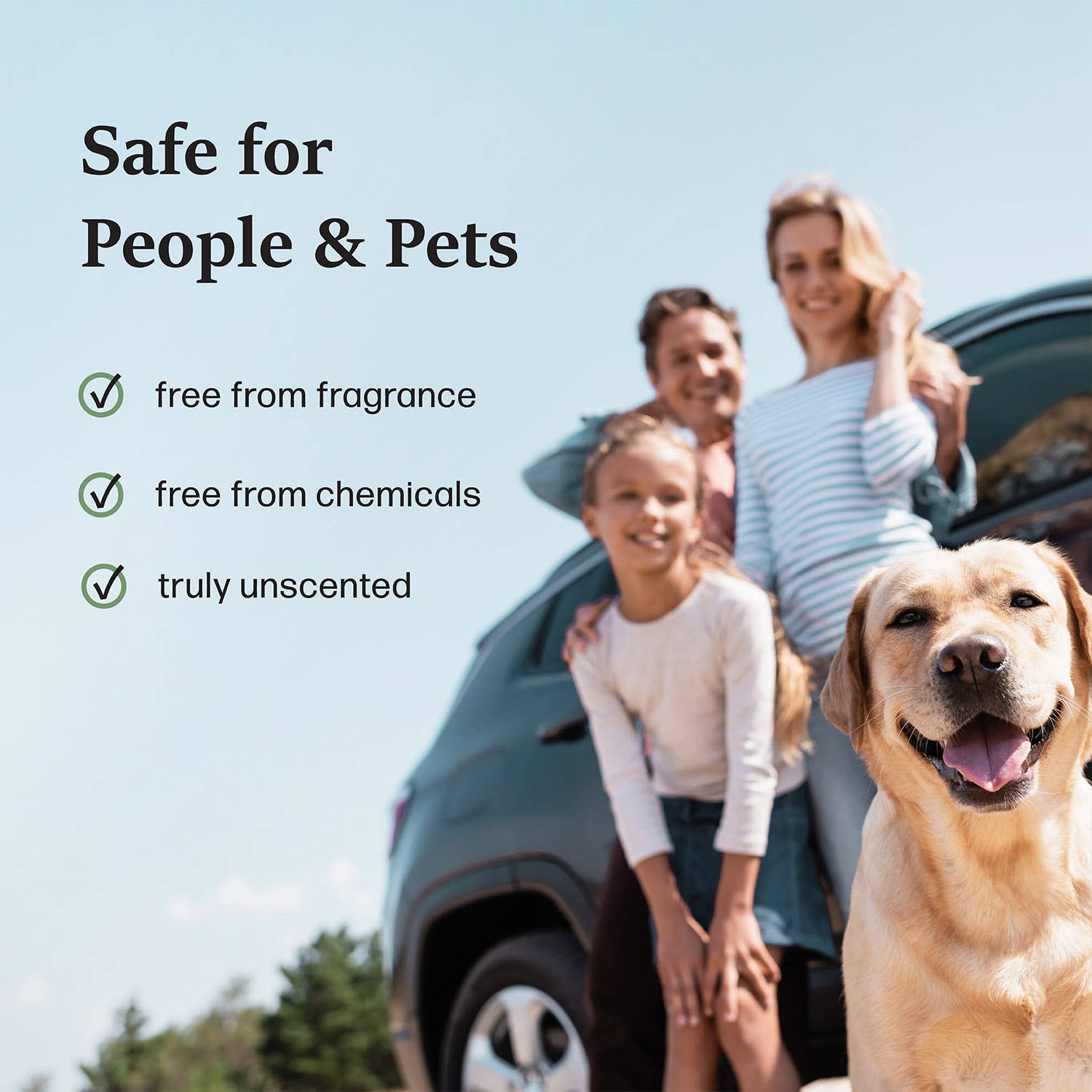 Moso Natural - Wholesale Car Freshener - Unisex - Car Odor Eliminator & Air Freshener w/ Bamboo Charcoal4