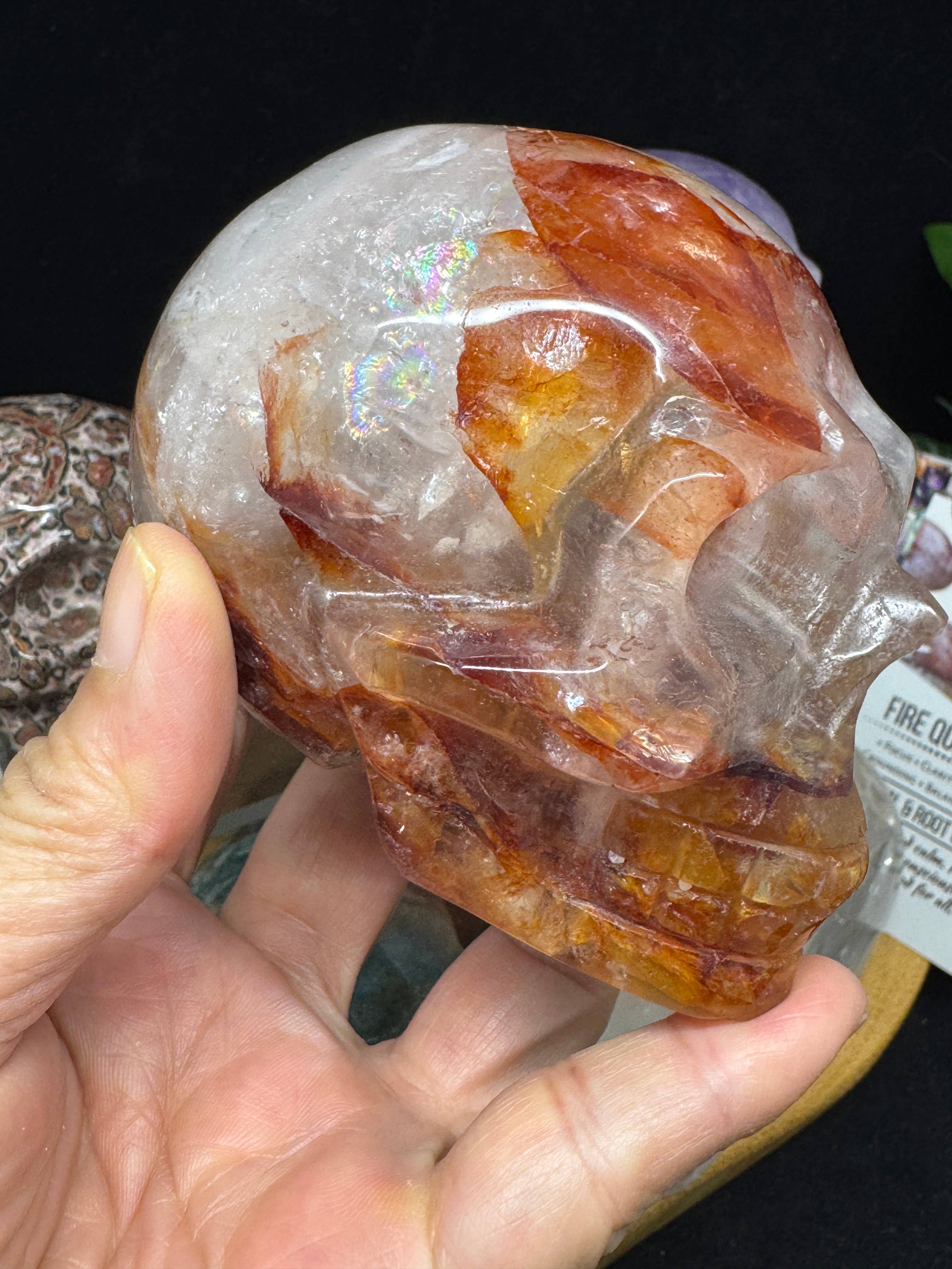 The 7 Directions - Wholesale Spiritual Stone/Crystal - 6 pc Ocean Jasper Leopardite fire quartz skull bundle G80514