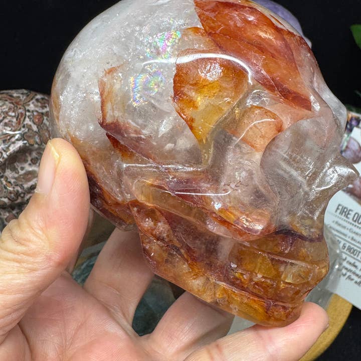 The 7 Directions - Wholesale Spiritual Stone/Crystal - 6 pc Ocean Jasper Leopardite fire quartz skull bundle G80514