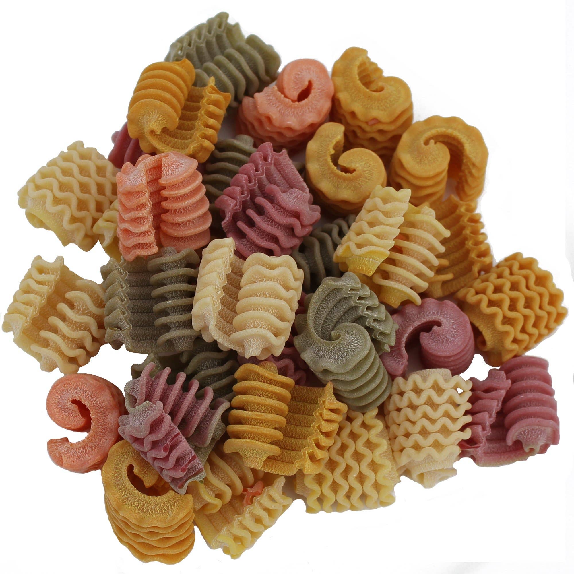 M5 Corporation - Vente Pâtes - Pâtes colorées morilles bio (Spugnole) - 17.6 oz (500g)1