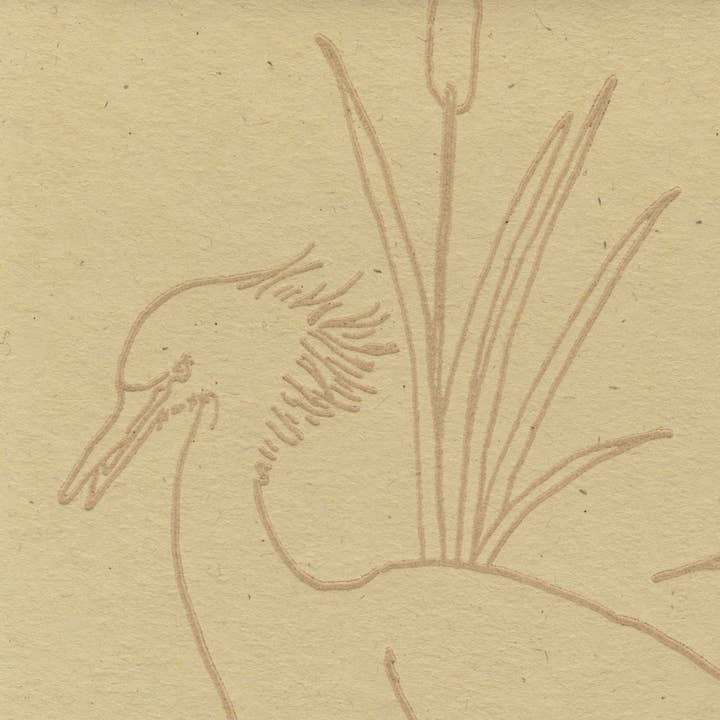 Snowy Egret Marsh • Letterpress Card for wholesale by Justina Freel