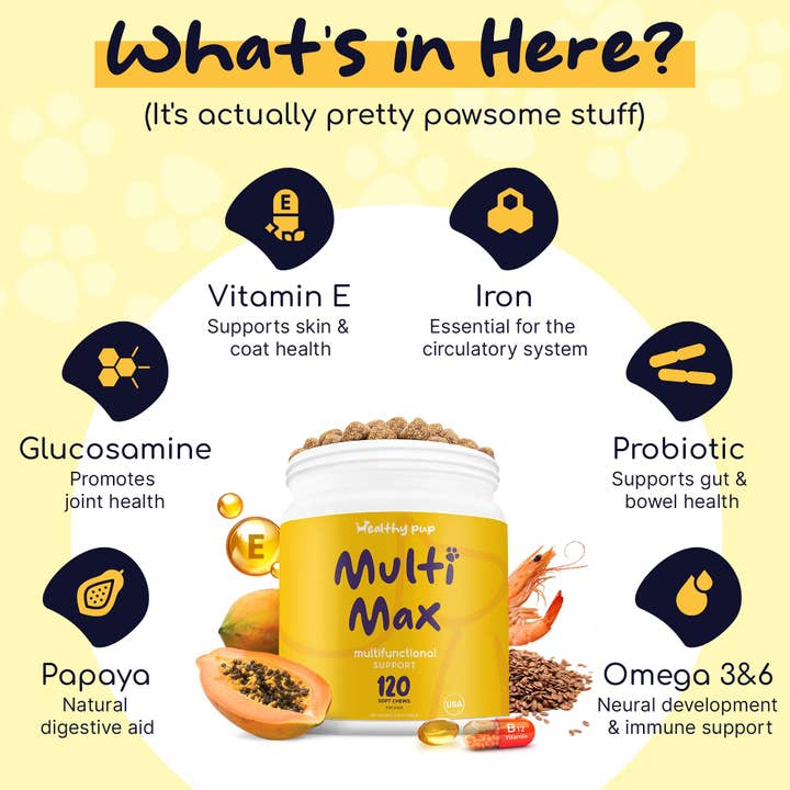 Chew + Heal - Wholesale Pet Supplement - Dog - Healthy Pup Multi Max All-In-One Dog Multivitamin, 120 count