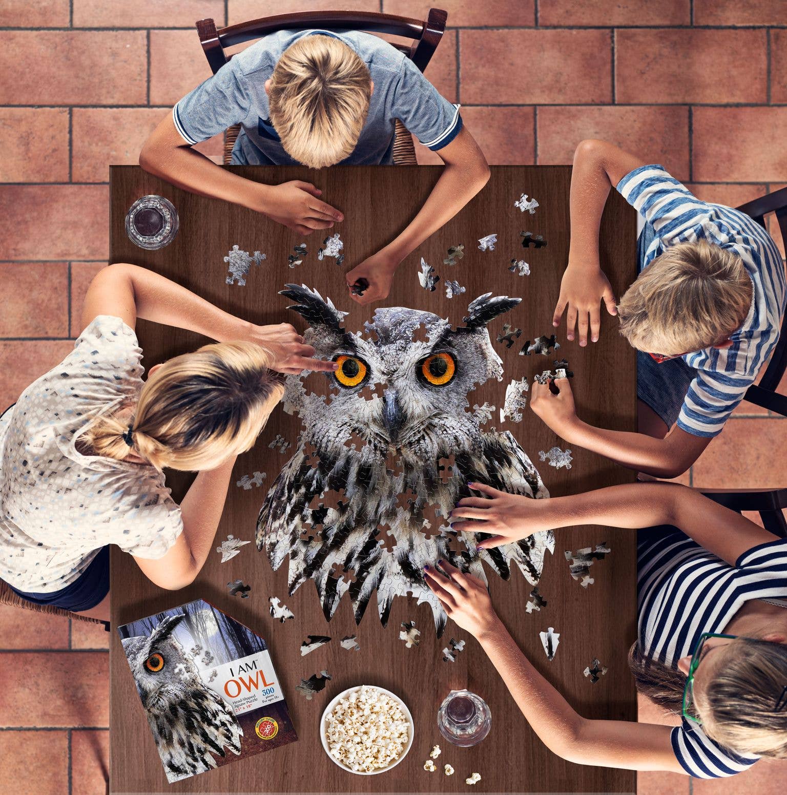 Madd Capp Games & Puzzles - Wholesale Puzzle - Adult - I AM Owl 300 piece jigsaw puzzle - gift4