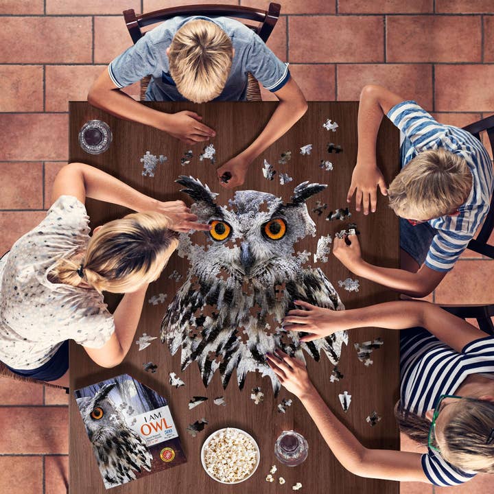 Madd Capp Games & Puzzles - Wholesale Puzzle - Adult - I AM Owl 300 piece jigsaw puzzle - gift4