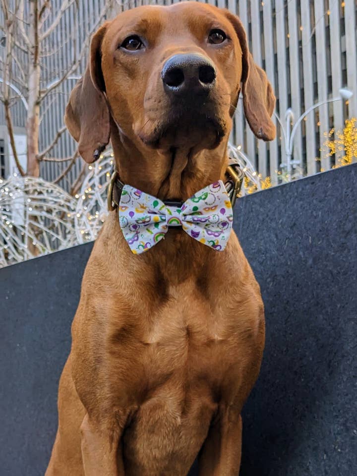 Nœud papillon pour la célébration du Mardi Gras pour la vente par Koa's Ruff Life