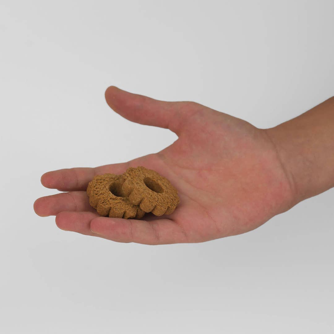 FUCIBO - Wholesale Cookie - Corn Cookies With Insect Flour3