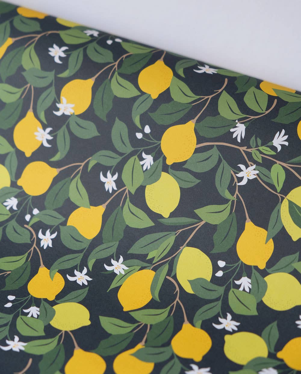 Haferkorn & Sauerbrey - Venta al por mayor Sobre de papel de regalo - Papel de regalo de limón1