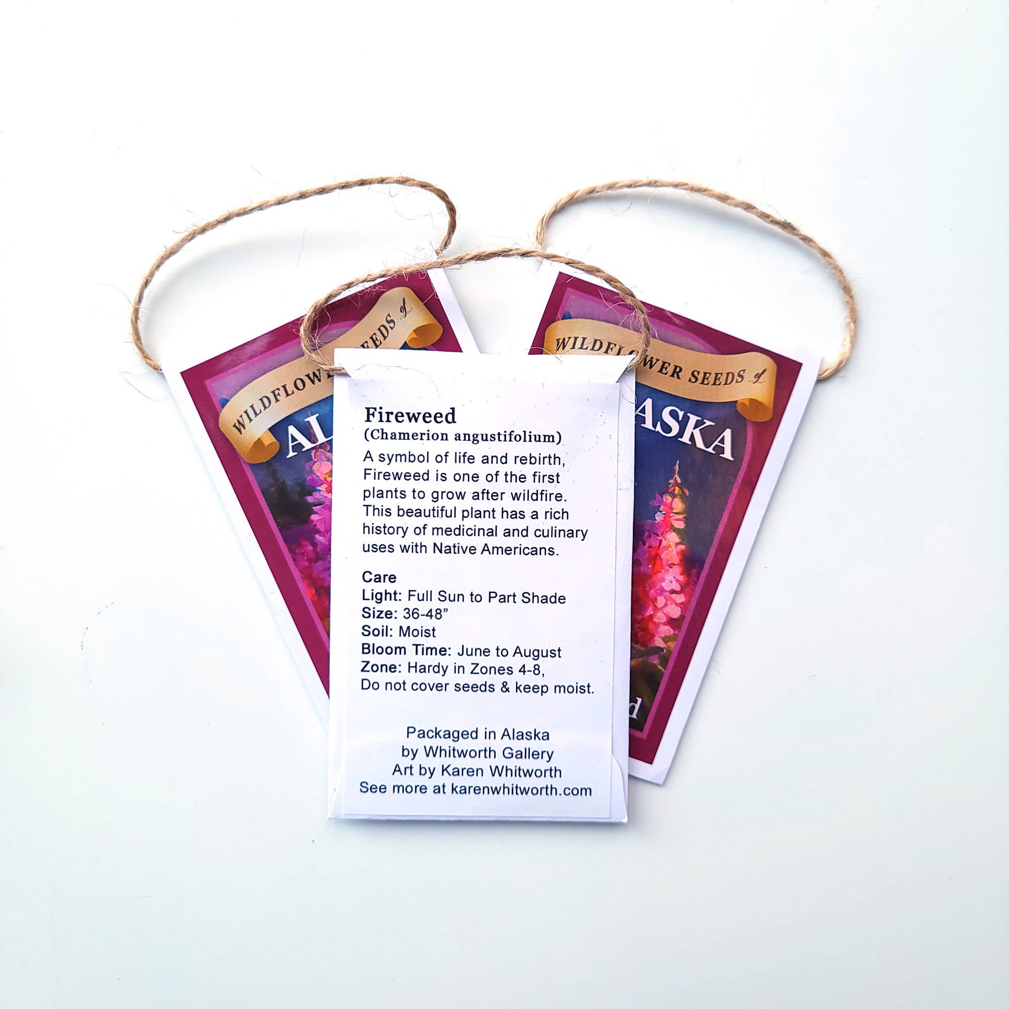 Whitworth Gallery - Wholesale Plant Seeds - Alaskan Fireweed Wildflower Seed Packets2
